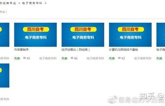 自考电子商务专业学位课