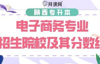 专升本电子商务专业复习资料