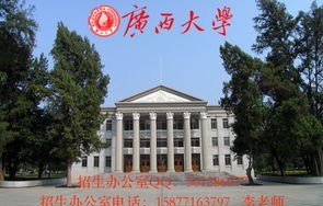 文科生报考电子商务专业