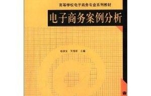 电子商务专业化案例分析