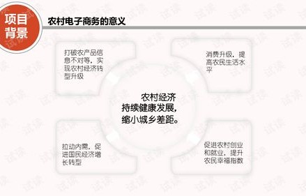 电子商务专业村建没方案