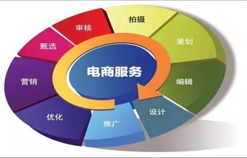 电子商务专业职业性测试