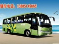小小鸟汽车租赁有限公司商务车（小小鸟汽车有限公司电话）