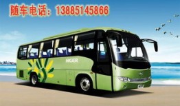 小小鸟汽车租赁有限公司商务车（小小鸟汽车有限公司电话）