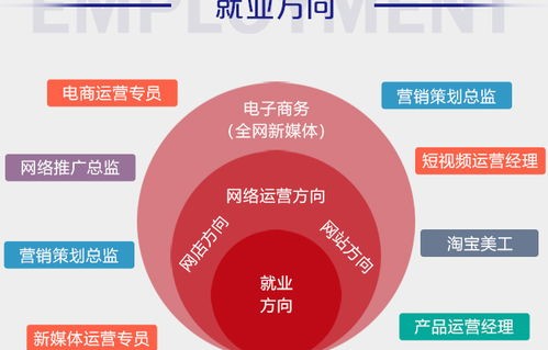电子商务主要有什么专业