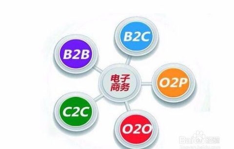 专业性电子商务是指