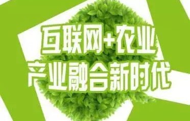 三农电子商务是什么专业