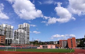 四川电子商务专业学院