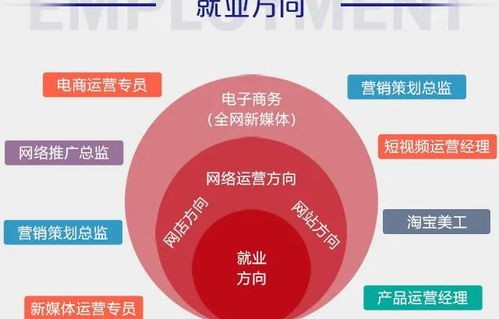 电子商务能做学的专业吗