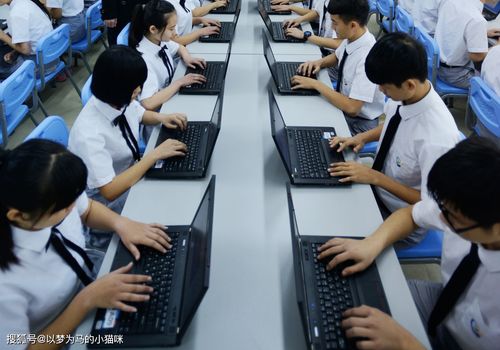 大专生建议电子商务专业