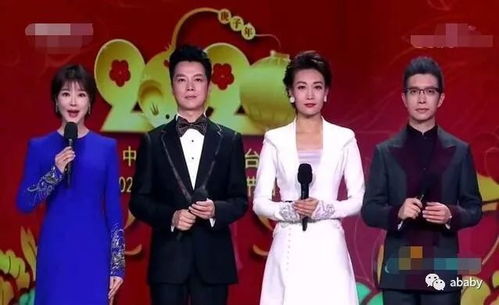 董卿与儿子同台朗读，母子情深，共筑文化传承