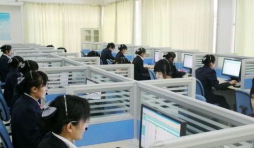 电子商务及法律专业春考