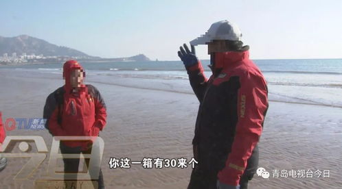 小伙杭州一日捉知了记，收获12-15斤的惊喜之旅